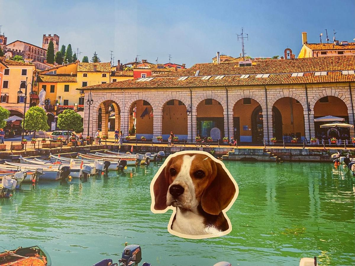 Desenzanoloft Blue Lake Star Desenzano del Garda